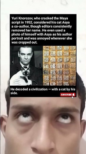 The Man Who Deciphered the Maya Script… and Credited His Cat Asya as Co-Author 😺📜