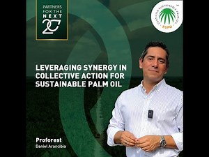 RSPO Insights | Leveraging Synergy in Collective Action for Sustainable Palm Oil