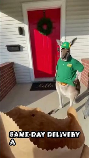Kangaroo Delivery Drop — Wildest Food Arrival Ever