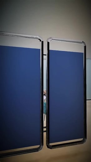 Exploring the Fascinating Human Body