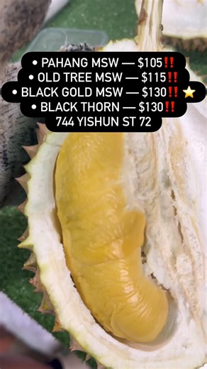 Durian Lah! on Instagram: "🔥 THIS WEEK’S DURIAN PROMO! 🔥 Limited stocks — while supplies last! 🍈 10KG SUPER VALUE DEALS • Pahang MSW — $105‼️ • Old Tree MSW — $115‼️ • Black Gold MSW — $130‼️ ⭐️ • Black Thorn — $130‼️ ✅ Fresh daily ✅ Quality guaranteed ✅ Bao jiak 😋 ✅ We open and pack into takeaway boxes for you upon order! FRESH! 🚶‍♂️ Walk-in welcome 🚚 FREE delivery available 🛵 Also available on GrabMart 📍 Address: 744 Yishun Street 72, Singapore 🚇 3-min walk from Yishun MRT (Exit D) 📲
