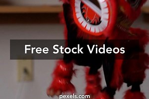 Lion Dance Videos, Download The BEST Free 4k Stock Video Footage & Lion Dance HD Video Clips