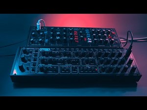 Behringer Model D & Pro 1 - Trance Arp & Melodic Techno Bass (Movement 02)