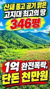 공기좋고 전망좋은 최고의 땅 346평 / 1억에서 가격폭락, 단돈 천만원대