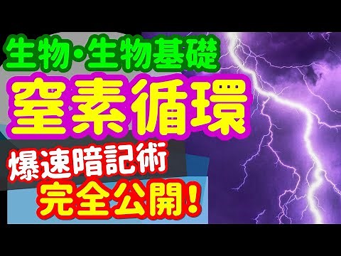 【生物基礎 32】生態系【窒素の循環】を宇宙一わかりやすく