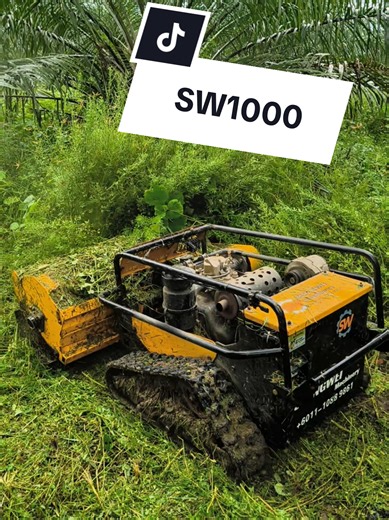 SW1000 Lawn Mower Remote Control (SW100) — Garden Life Guide
