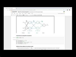 Construcción de una red feedforward en Python