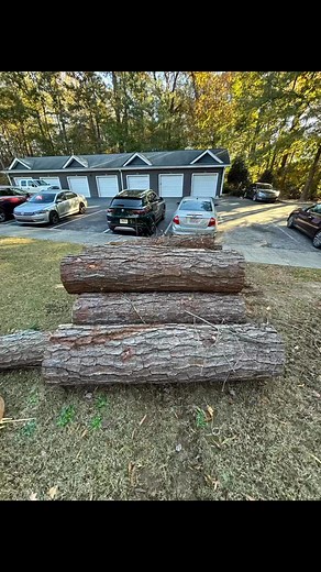 JP Tree Service LLC 蝹 Tree & Land Clearing 101Clearing your property the right way means removing unwanted trees, roots, and debris, While protecting healthy soil and natural drainage.For expert help, call the office at (770) 616-2997 | Junior Aguilar | Facebook