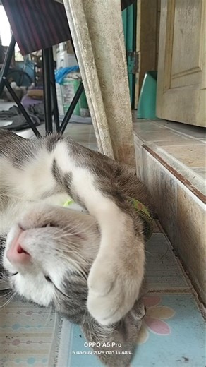 นอนหลายกะหัวปวด..ปวดหัว😁😁