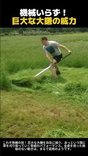 伝統的な草刈り技術！巨大な鎌で広い草地を一気に刈り取る瞬間（遠心力を活用した草刈り原理）
