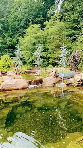 Beautiful video of a recreational pond #pondbuilders #riverbedbuilders #garden #landscaping #recpond