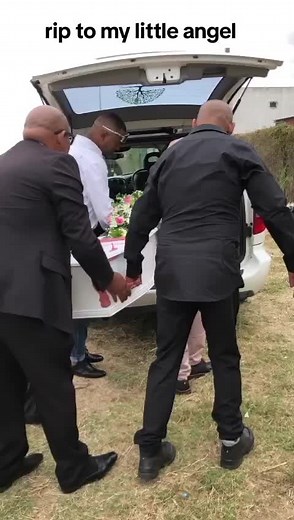 A Heartfelt Tribute to Jonty the Baby