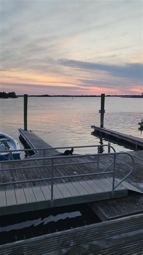 Well hello otter, nice to see you in the sunset! River otter on North Carolina Maritime Museum in Beaufort dock in Beaufort, NC, Jan 30, 2026. #otter #RiverOtter #beaufortnc | Why Beaufort NC