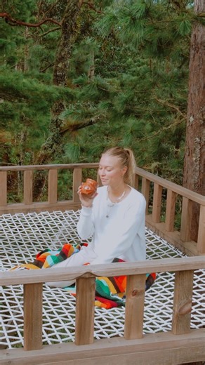 Mexico forest cabin experience that every traveler must try