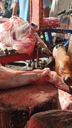 Butcher Techniques (Satisfying Butchering)