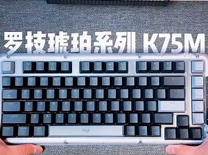 长时间码字不累手。它支持多设备连接，一键切换超方便，办公、娱乐轻松兼顾。续航也很顶，不用频繁充电。再加上智能客制化，用起来高效又顺手，选它准没错！