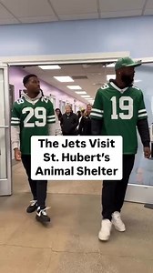 48K views · 2.2K reactions |  Jets Huddle Up for Homeless Pets This...