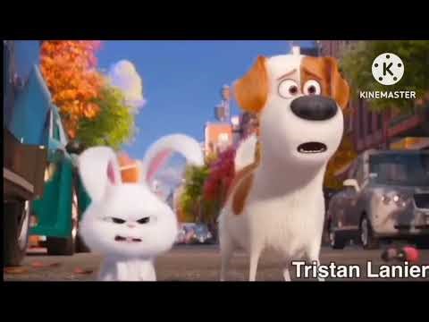 Skn64 and friends falling down Lava hole moon 70 hours