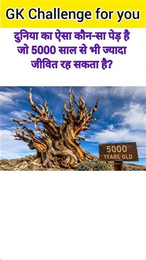 GK Questions😱💯||GK Questions and Answers❤️‍🔥🤔||General Knowledge in English🙄💥|| #gkquestion #gkfa...