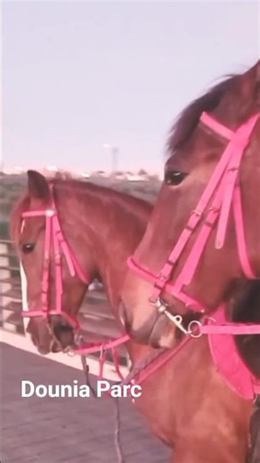 #travel #park #plage #summer #tourism #اكسبلور