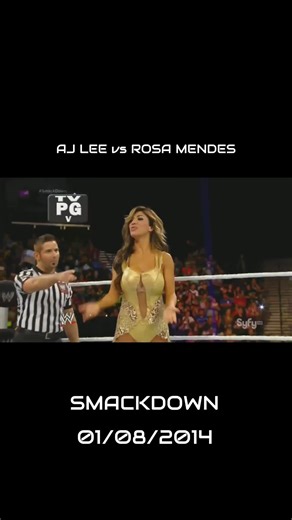 AJ Lee vs Rosa Mendes Match Highlights on SmackDown 2014