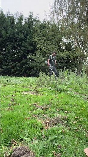 Trimming Overgrown Grass by EGO Power+ BC3800E – #ego #gardening#diy