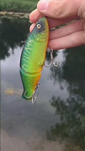 le meilleur leurre pour le brochet. #fishing #pêche #leurre #passion #pourtoi #fishtank #fishinglife