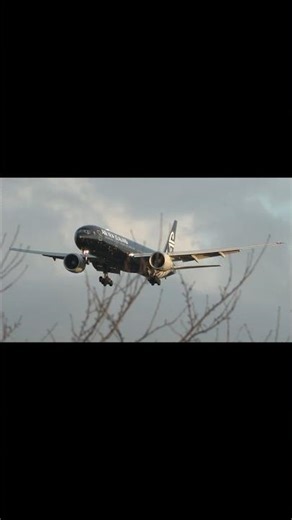 4K 中々見られない、夕日に染まる冬の成田国際空港A滑走路34Lに着陸する オールブラックス(All Blacks) ニュージーランド航空 Boeing 777-319(ER) ZK-OKQ