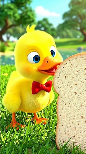 Adorable Duck Enjoying Bread – Cute Animal Video#