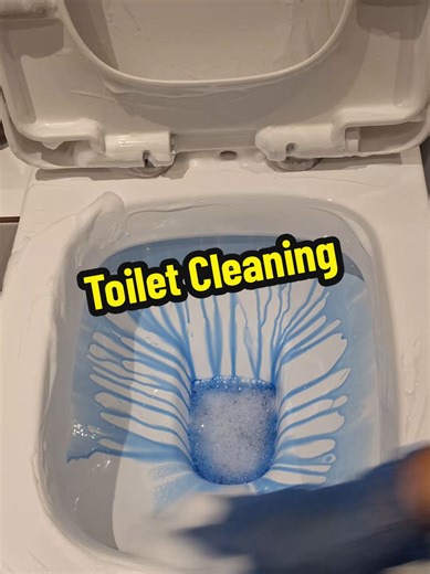 Effective Toilet Cleaning Tips for a Sparkling Bathroom