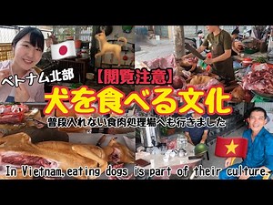 犬を食べる文化🐕🇻🇳