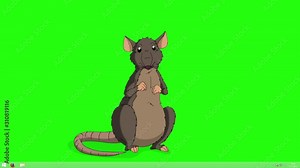 Brown rat sitting and talking animation Chroma Key