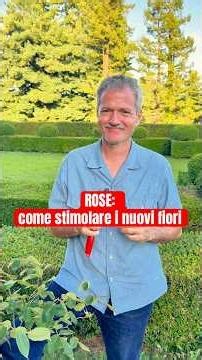 Roses: How to encourage new blooms. #gardening #garden #plants #nature #roses #flowers #plants