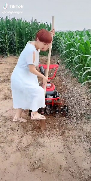 Multi-Functional Walk-Behind Tiller for Efficient Agricultural Planting