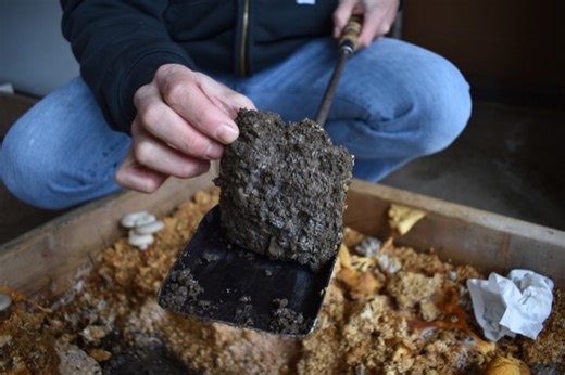 To clean contaminated soil, pilot project tries growing mushrooms #mycoremediation