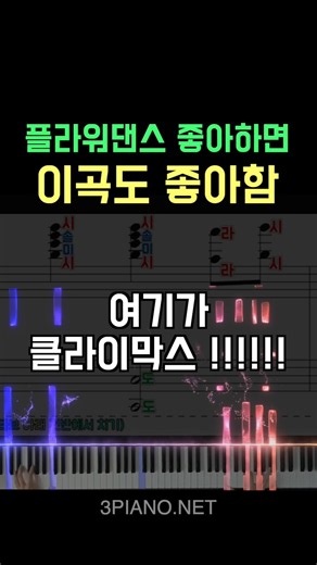 ♥️플라워댄스 좋아하면 이곡도 좋아함 !!!