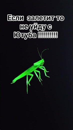 #мем #борщрецепт #пабг #roblox #инста #роблокс #юуб
