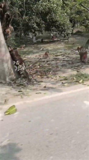 Hello guys mera bilojop me suhagrat hai #trending #funny #comedy #video 🤣🤣🤣