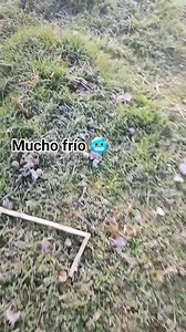 Anahi López on Reels