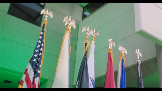 County of Los Angeles | DPSS on Instagram: "Check out this recap of this year’s #OperationGreenLight as #DPSS headquarters were illuminated in green to show veterans that they are seen and help is available. The week-long observance leading up to #VeteransDay shines a light of hope to raise awareness of resources such as food assistance, health coverage, and other essential safety net programs that help military veterans and their families 💚 If you are or know a veteran in need of assistance, v