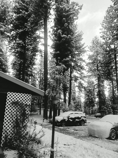 With Cooper Rushen Racing – I'm on a streak! I've been a top fan for 6 months in a row. 🎉 | Racers Edge