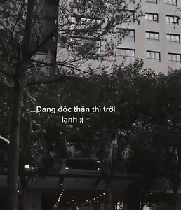 Mixcloud Pro on Reels