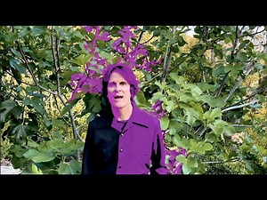 Rusty Anderson Guitar Solo - Cut The Chain - Activism Song