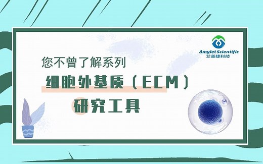 您不曾了解系列：细胞外基质（ECM）研究工具