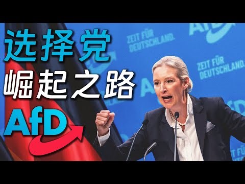 德国选择党AfD｜崛起之路