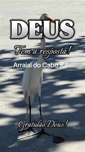Arraial do Cabo RJ: Motivação e Reflexão Diária