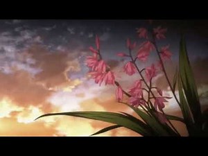 Concerto For Two Pianos "K. 365" [3rd Mvt] (Slowed & Reverb) - Mozart