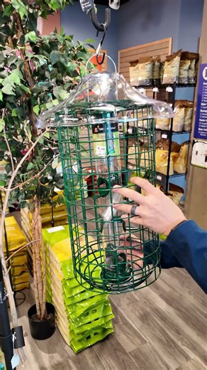 How to Build a Better Bird Feeder Setup for Fall