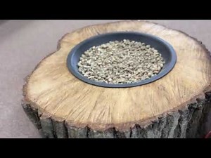 Concrete stump fire pit