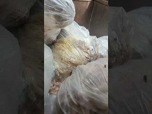 Missouri trash compactors